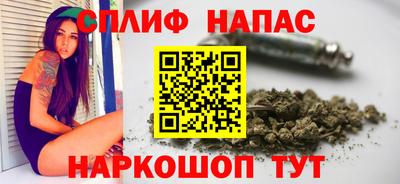 гашик Туймазы