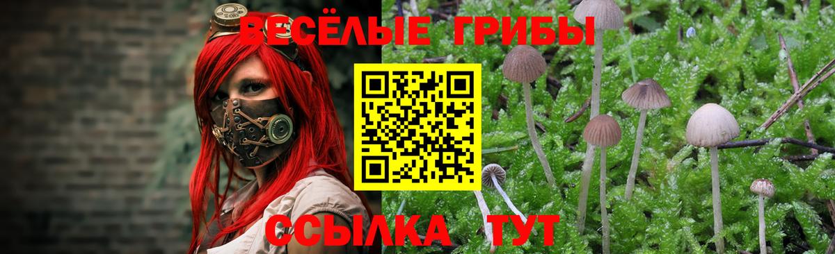 Галлюциногенные грибы прущие грибы  Вход с VPN  Губкинский 
